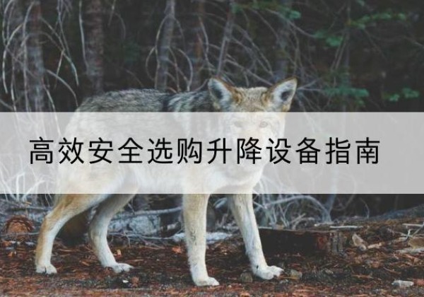 武邑升降货梯厂家推荐-*安全选购升降设备指南