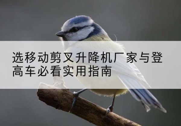 武邑电动升降机厂家-选移动剪叉升降机厂家与登高车必看实用指南