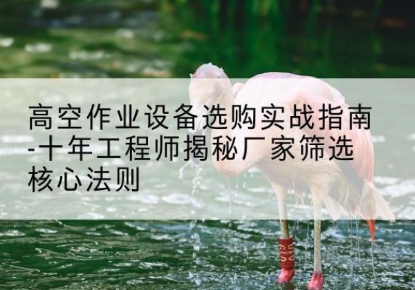 武邑剪叉式升降机厂家-高空作业设备选购实战指南-十年工程师揭秘厂家筛选核心法则